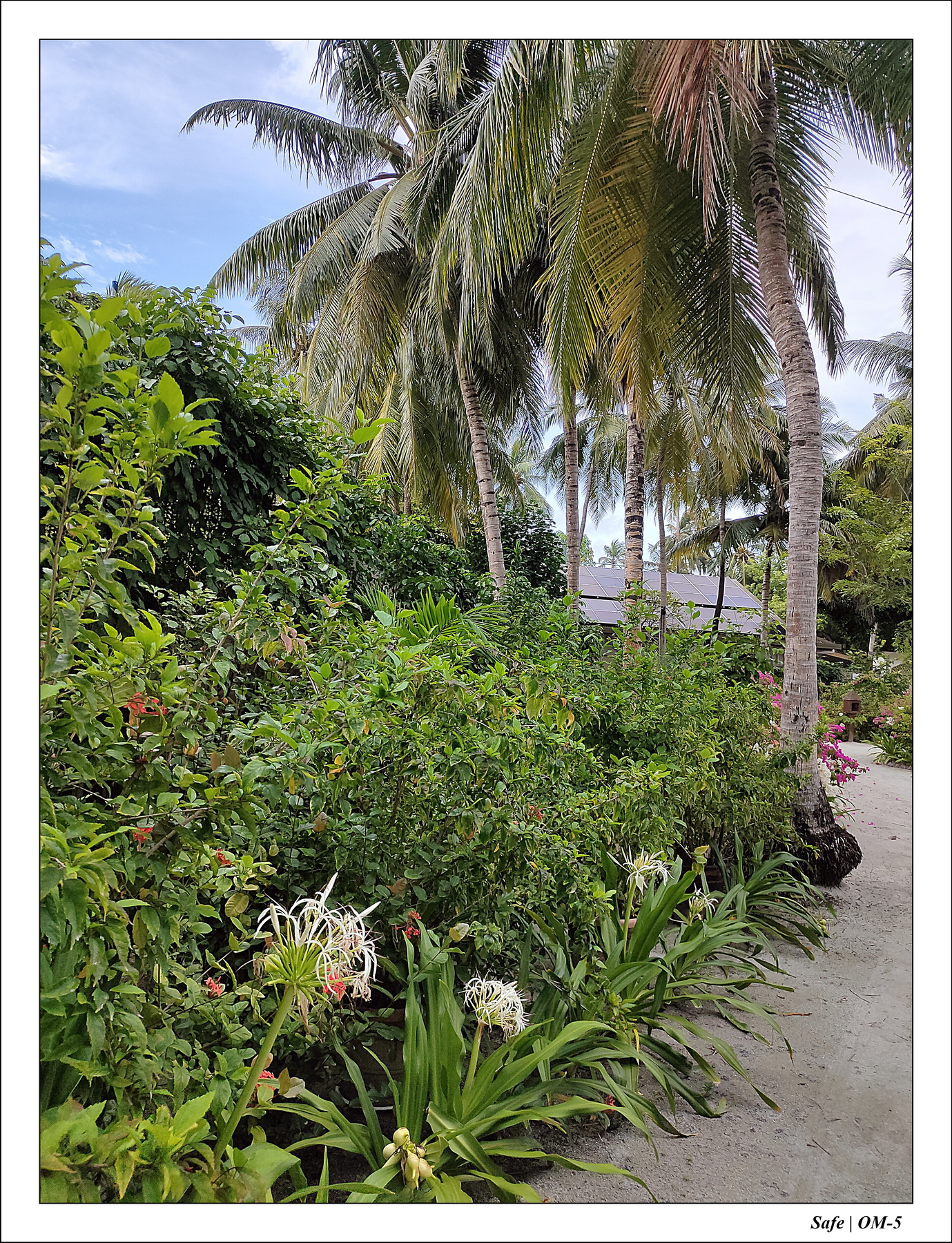 2024 - 08 -Angsana Velavaru - 04